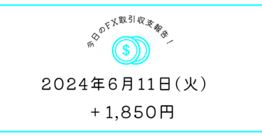 【2024年6月11日】FX収支取引記録｜最近の東京時間げきむず