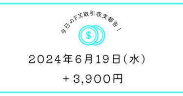 【2024年6月19日】FX収支取引記録｜今日は動かず