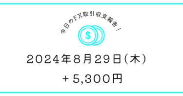 【2024年8月29日】FX収支取引記録｜欧州でやっちゃった、、、