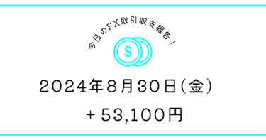 【2024年8月30日】FX収支取引記録｜月末負けるの怖くてチキンツヨシ発動