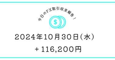 【2024年10月30日】FX収支取引記録｜10万は紙一重