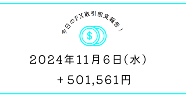 【2024年11月6日】FX収支取引記録｜アメリカって強い国だな🗽