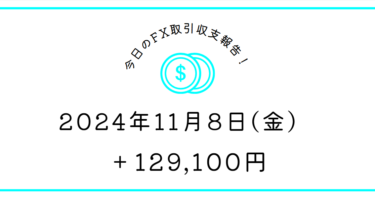 【2024年11月8日】FX収支取引記録｜ドカッドカッってくるの勘弁