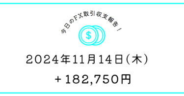 【2024年11月14日】FX収支取引記録｜今日は打ちまくった