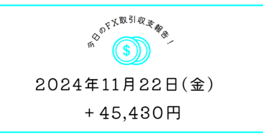 【2024年11月22日】FX収支取引記録｜今週一瞬で終わった