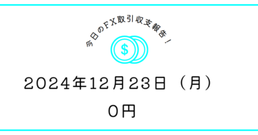 【2024年12月23日】FX収支取引記録｜足が細くて短く、小さなヒゲが沢山